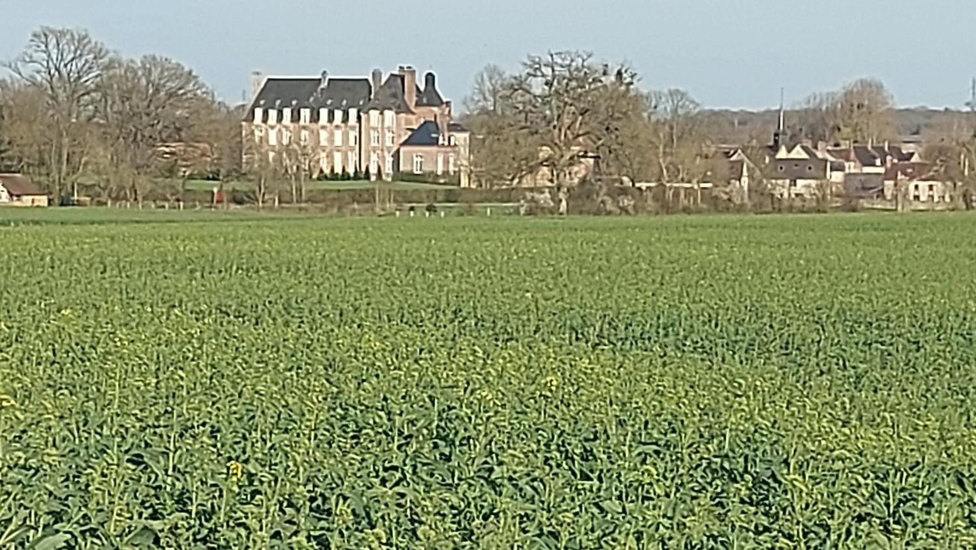 Villa Maella Saint-Michel-Tuboeuf Exterior foto